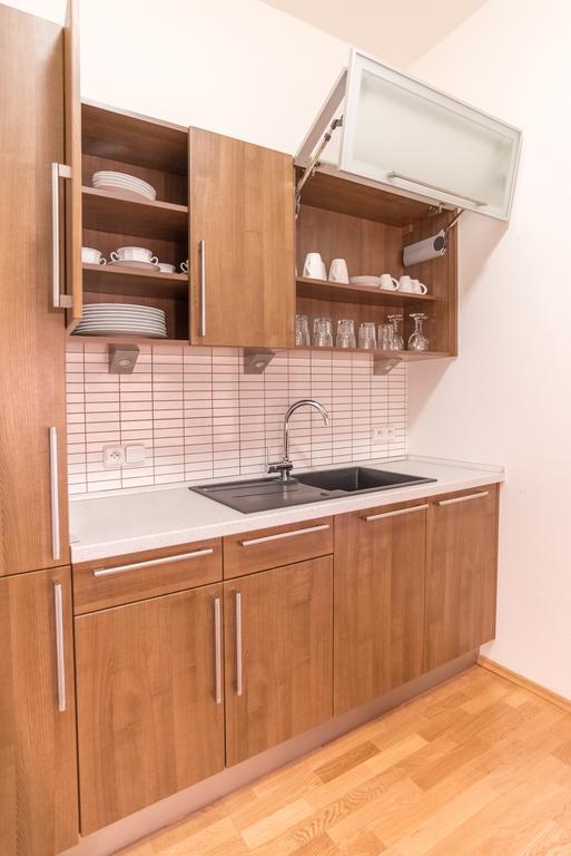 Apartment Sirius D In Center Of Cb. Budweis Exterior foto